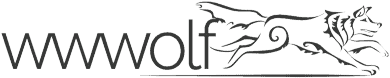 Ethical website development by wwwolf (logo)